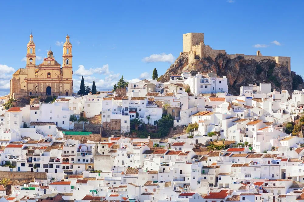 descubre por qué en andalucía el 50% de las solicitudes de acceso a electricidad han sido denegadas y cómo esto afecta al desarrollo energético de la región. más detalles y análisis en nuestro artículo.