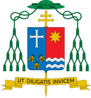 descubre el papel y la importancia del nuncio apostólico en españa, representante del papa y la santa sede, así como sus funciones diplomáticas y religiosas en el país.