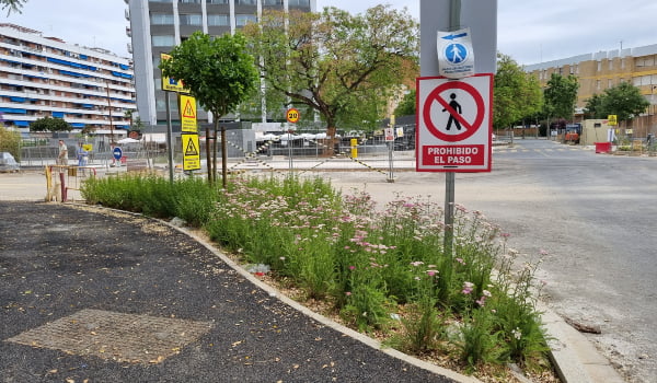 descubre toda la información sobre los subsidios disponibles para el tranvía en nervión: requisitos, beneficios y cómo solicitarlos para aprovechar el transporte público económico en la ciudad.