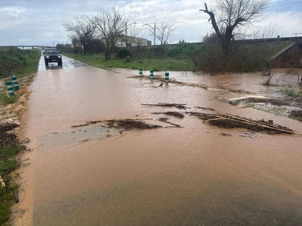descubre cómo las lluvias en sevilla afectan al tráfico: información actualizada sobre atascos, cortes de carreteras y consejos para circular seguro durante episodios de precipitaciones.