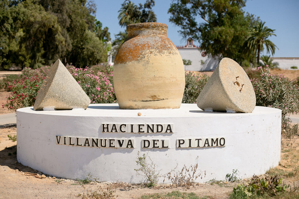 descubre viviendas en pítamo: opciones modernas, cómodas y bien ubicadas para tu nuevo hogar en una de las zonas con mayor crecimiento. encuentra la casa ideal para ti y tu familia al mejor precio.