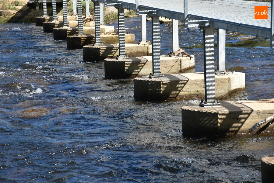 claudia aporta el mayor caudal registrado a los humedales andaluces desde marzo, contribuyendo significativamente a la conservación de estos ecosistemas vitales.