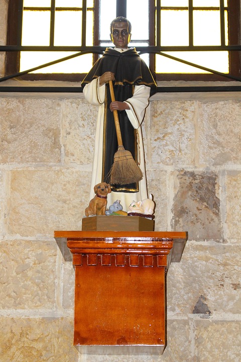 descubre todo sobre la reclasificación en san francisco de paula: procesos, beneficios y novedades para mejorar tu propiedad o zona.