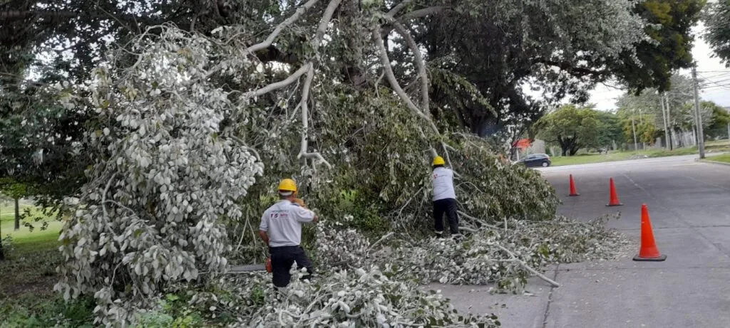 la tormenta claudia en sevilla causó 196 incidentes menores, afectando la ciudad con lluvias intensas y ráfagas de viento.