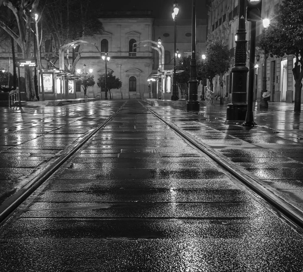 descubre la transformación de la avenida constitución en sevilla, un proyecto que revitaliza el corazón de la ciudad con espacios modernos y accesibles para todos.