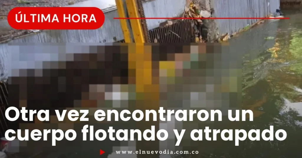 descubre los detalles sobre el hallazgo de un cuerpo sin vida en un canal de isla mayor, con información actualizada y contexto local.