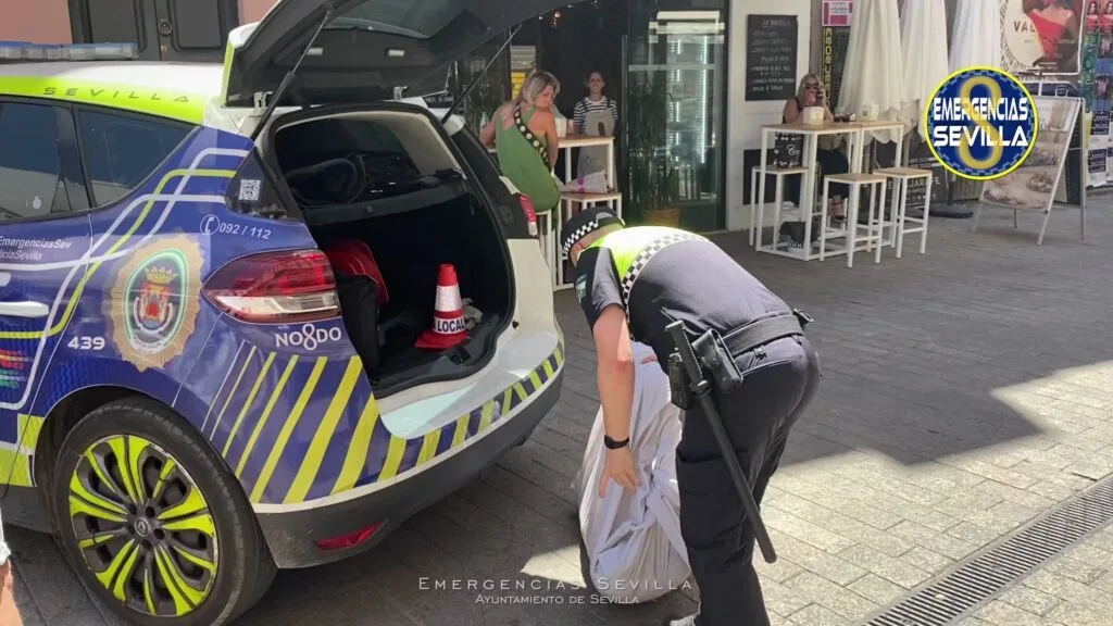 pp y vox acuerdan un plan conjunto para combatir la venta ambulante ilegal en sevilla, buscando mejorar la seguridad y el orden en la ciudad.